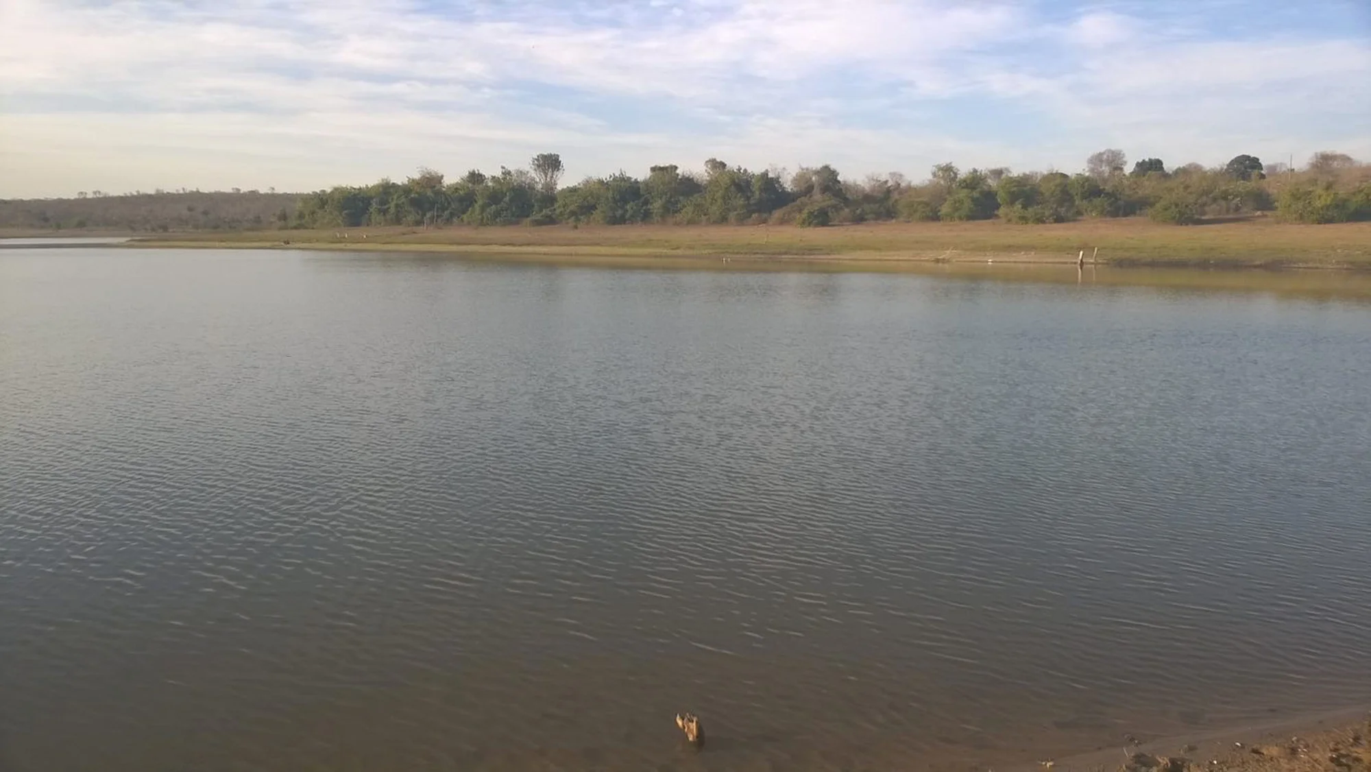 /image/a-historia-da-barragem-da-lagoa-a-origem-do-nome-de-lagoa-dos-patos-mg?src=https%3A%2F%2Fimg1.pixhost.to%2Fimages%2F10289%2F662750095_fotos-antigas-lagoa-dos-patos-mg-27.jpg&w=2000&q=85