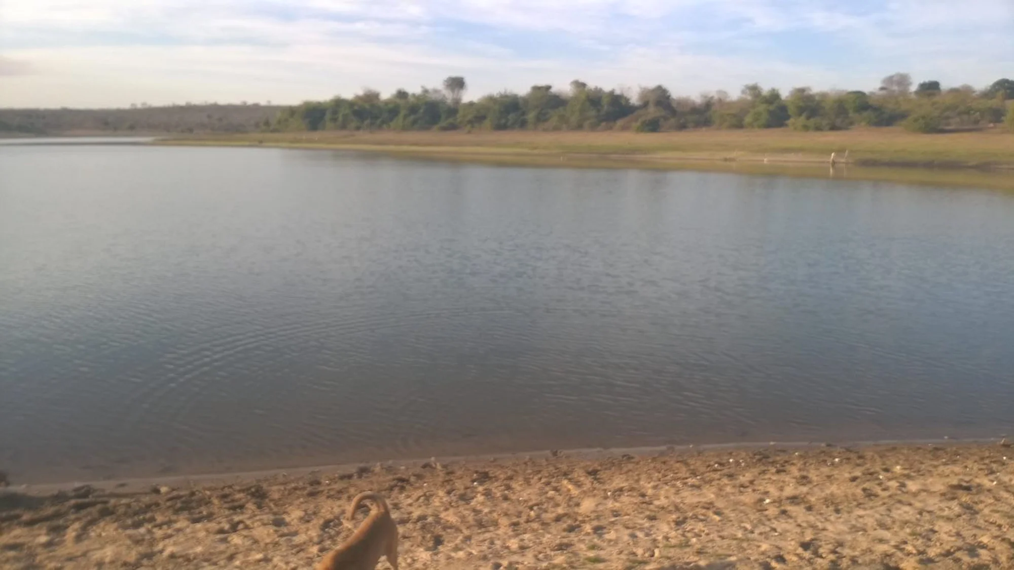 /image/a-historia-da-barragem-da-lagoa-a-origem-do-nome-de-lagoa-dos-patos-mg?src=https%3A%2F%2Fimg1.pixhost.to%2Fimages%2F10289%2F662750112_fotos-antigas-lagoa-dos-patos-mg-29.jpg&w=2000&q=85