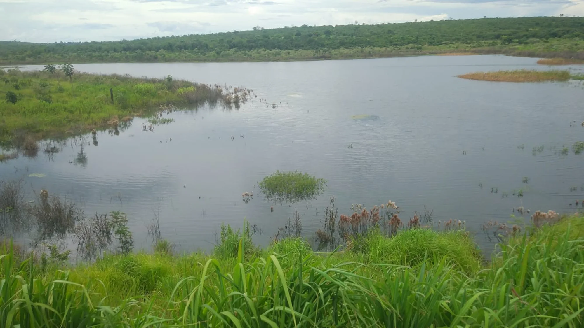 /image/a-historia-da-barragem-da-lagoa-a-origem-do-nome-de-lagoa-dos-patos-mg?src=https%3A%2F%2Fimg1.pixhost.to%2Fimages%2F10747%2F669620857_barragem-lagoa-dos-patos-mg-2022-4.jpg&w=2000&q=85
