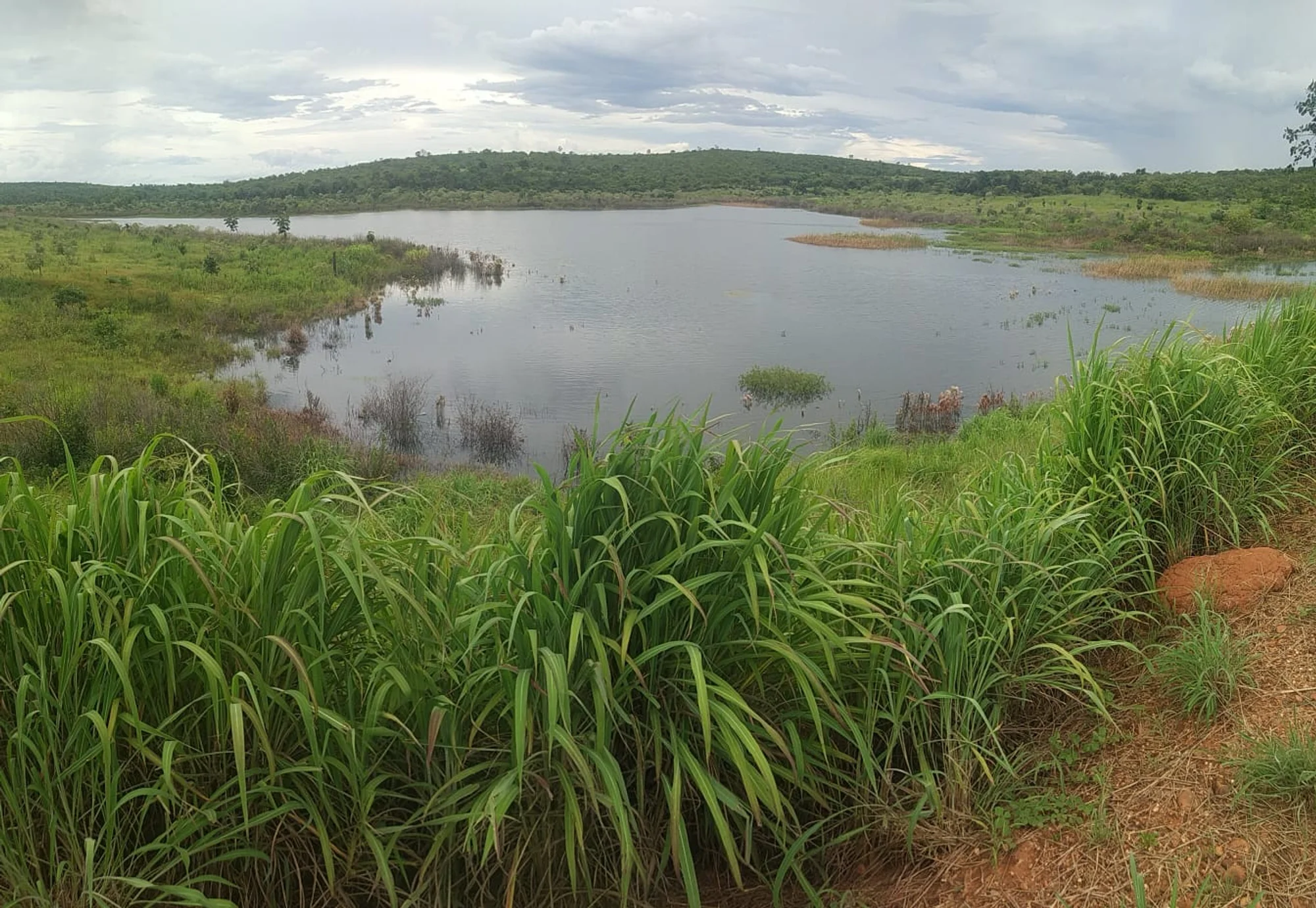 /image/a-historia-da-barragem-da-lagoa-a-origem-do-nome-de-lagoa-dos-patos-mg?src=https%3A%2F%2Fimg1.pixhost.to%2Fimages%2F10747%2F669620863_barragem-lagoa-dos-patos-mg-2022-6.jpg&w=2000&q=85