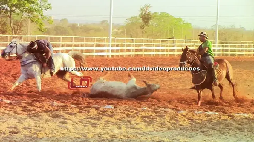Capa de Circuito de Vaquejada de Lagoa dos Patos é encerrado com sucesso de público