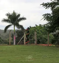 Imagem da galeria do artigo: É campeão! União Bet levanta a taça do 2º Campeonato Regional de Futebol de Campo de Lagoa dos Patos