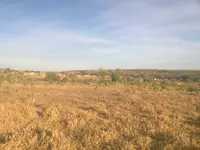 Imagem da galeria do artigo: Fotos antigas Lagoa dos Patos MG em Memórias