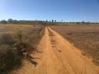 Imagem da galeria do artigo: Fotos antigas Lagoa dos Patos MG em Memórias
