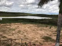 Imagem da galeria do artigo: Fotos antigas Lagoa dos Patos MG em Memórias