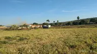 Imagem da galeria do artigo: Fotos antigas Lagoa dos Patos MG em Memórias