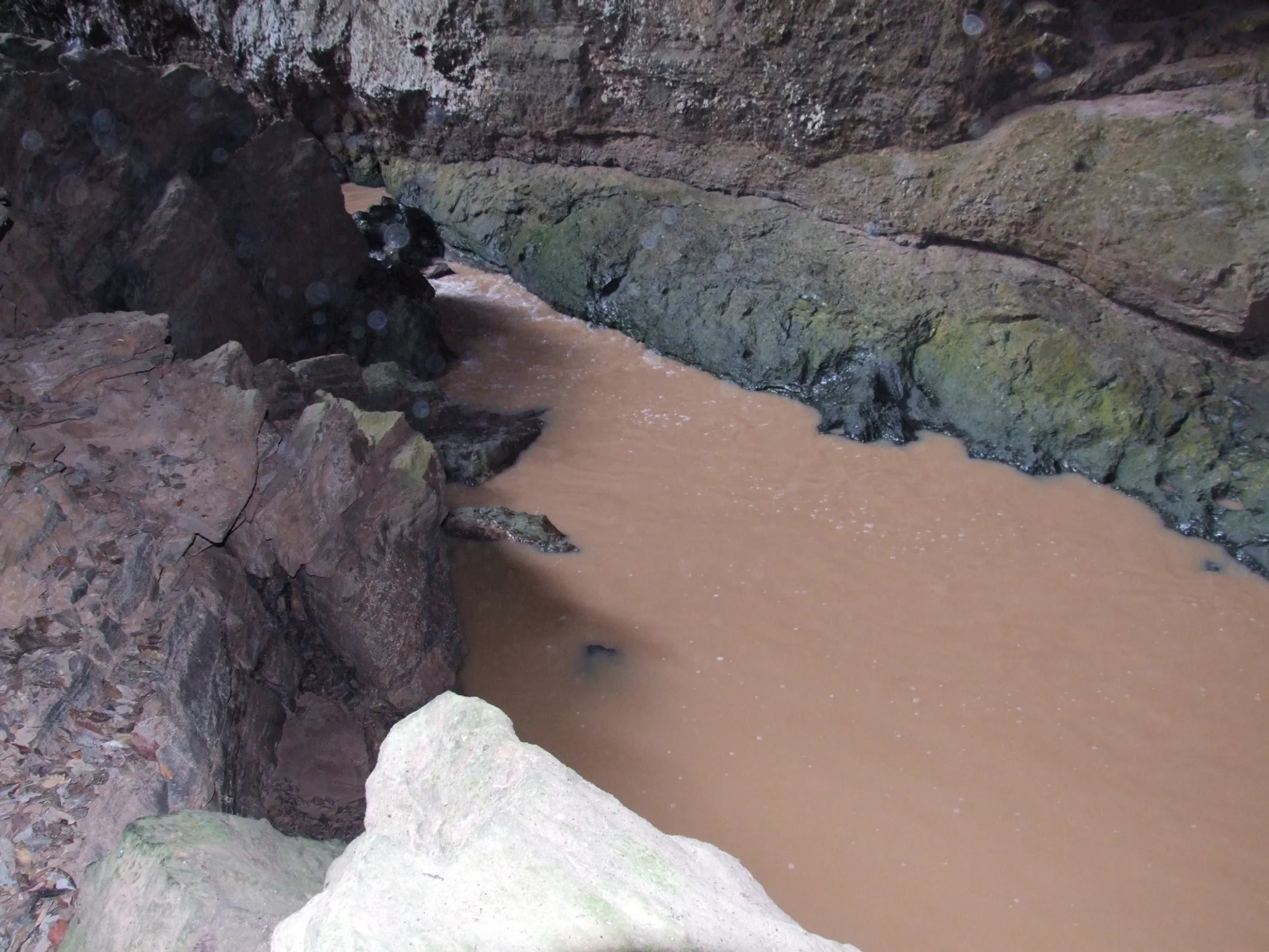 /image/fotos-antigas-lagoa-dos-patos-mg-em-memorias?src=https%3A%2F%2Fimg1.pixhost.to%2Fimages%2F10735%2F669473676_lagoa-dos-patos-mg-fotos-7.jpg&w=2000&q=85