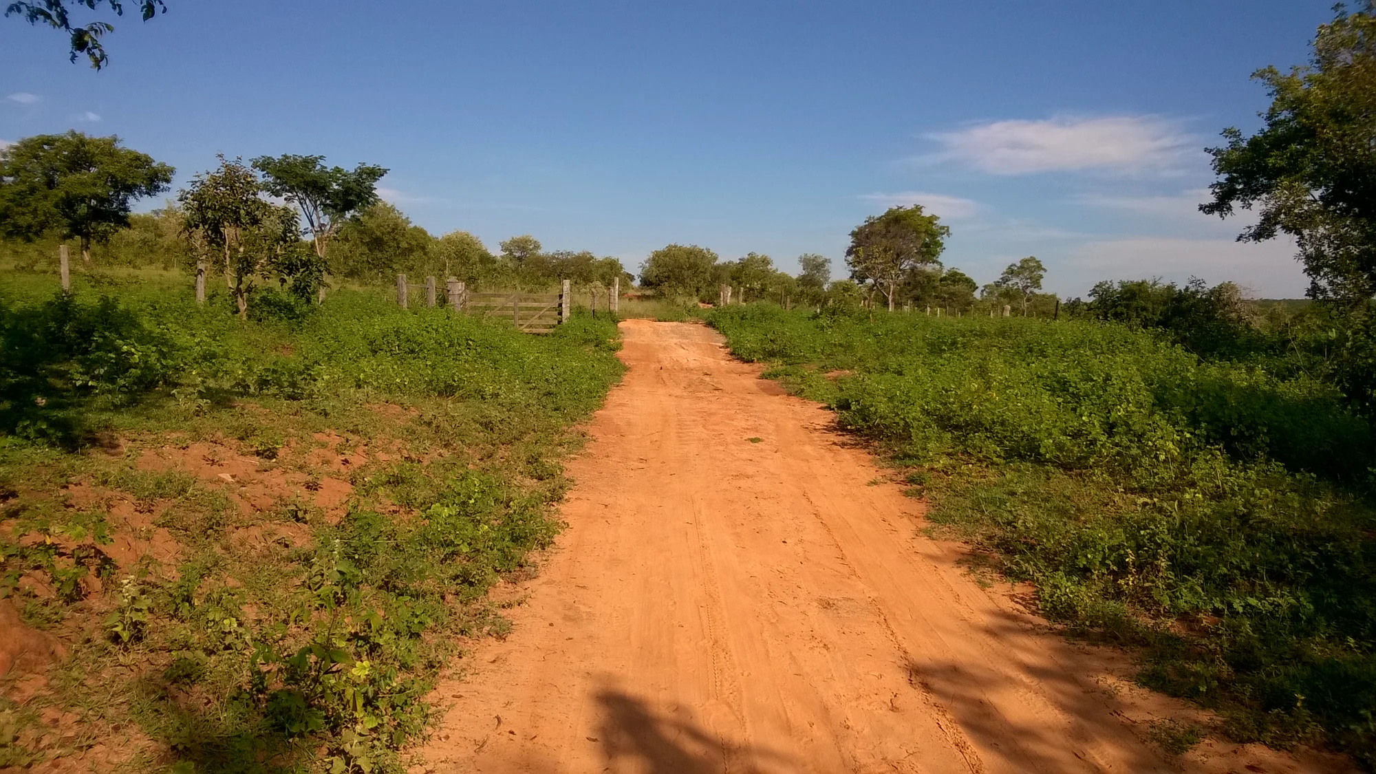 /image/fotos-antigas-lagoa-dos-patos-mg-em-memorias?src=https%3A%2F%2Fimg1.pixhost.to%2Fimages%2F10948%2F671673075_vista-torre-lagoa-dos-patos-mg-2.jpg&w=2000&q=85