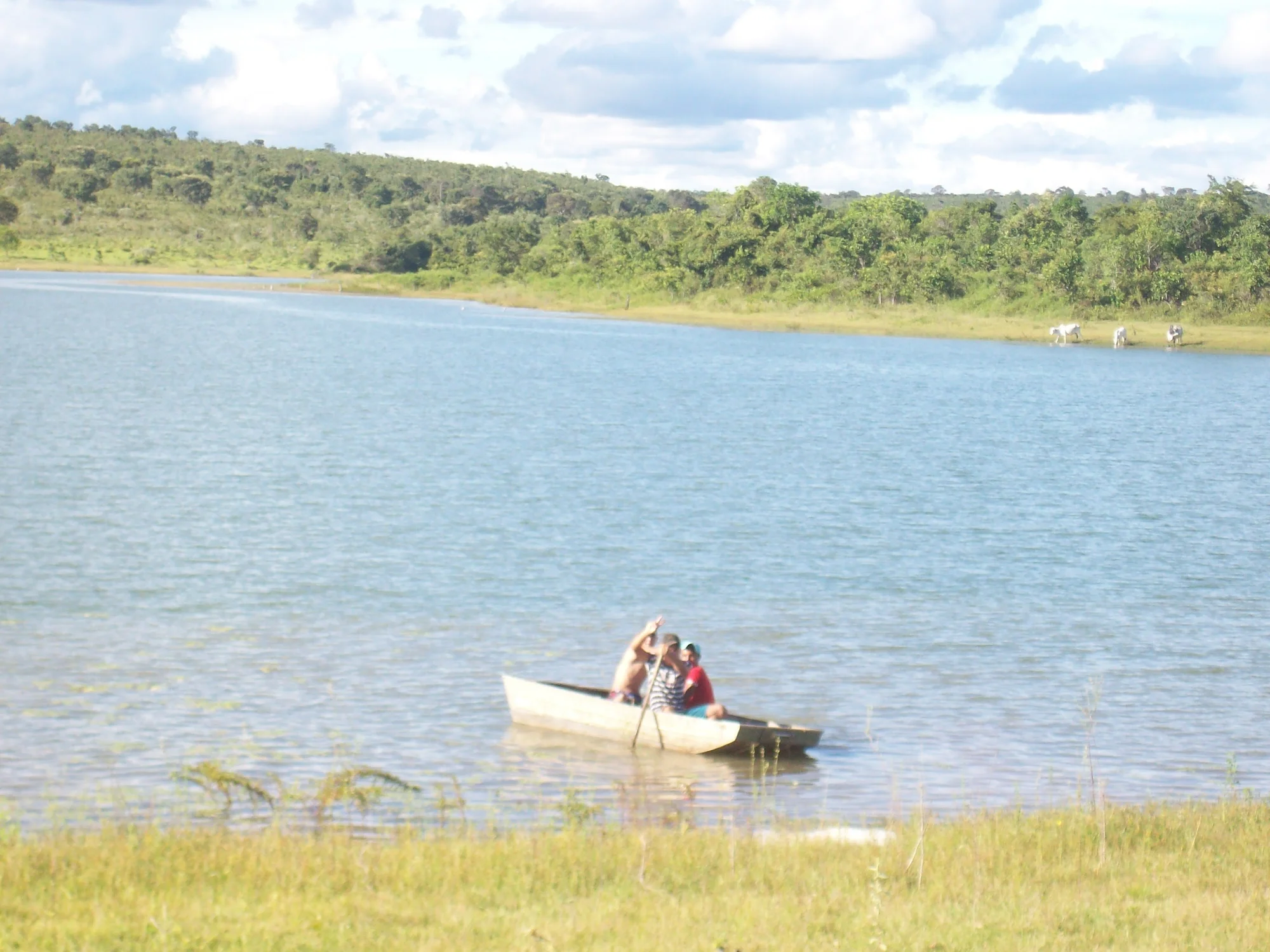 /image/fotos-antigas-lagoa-dos-patos-mg-em-memorias?src=https%3A%2F%2Fimg1.pixhost.to%2Fimages%2F11691%2F685943732_fotos-antigas-lagoa-dos-patos-mg-1.jpg&w=2000&q=85