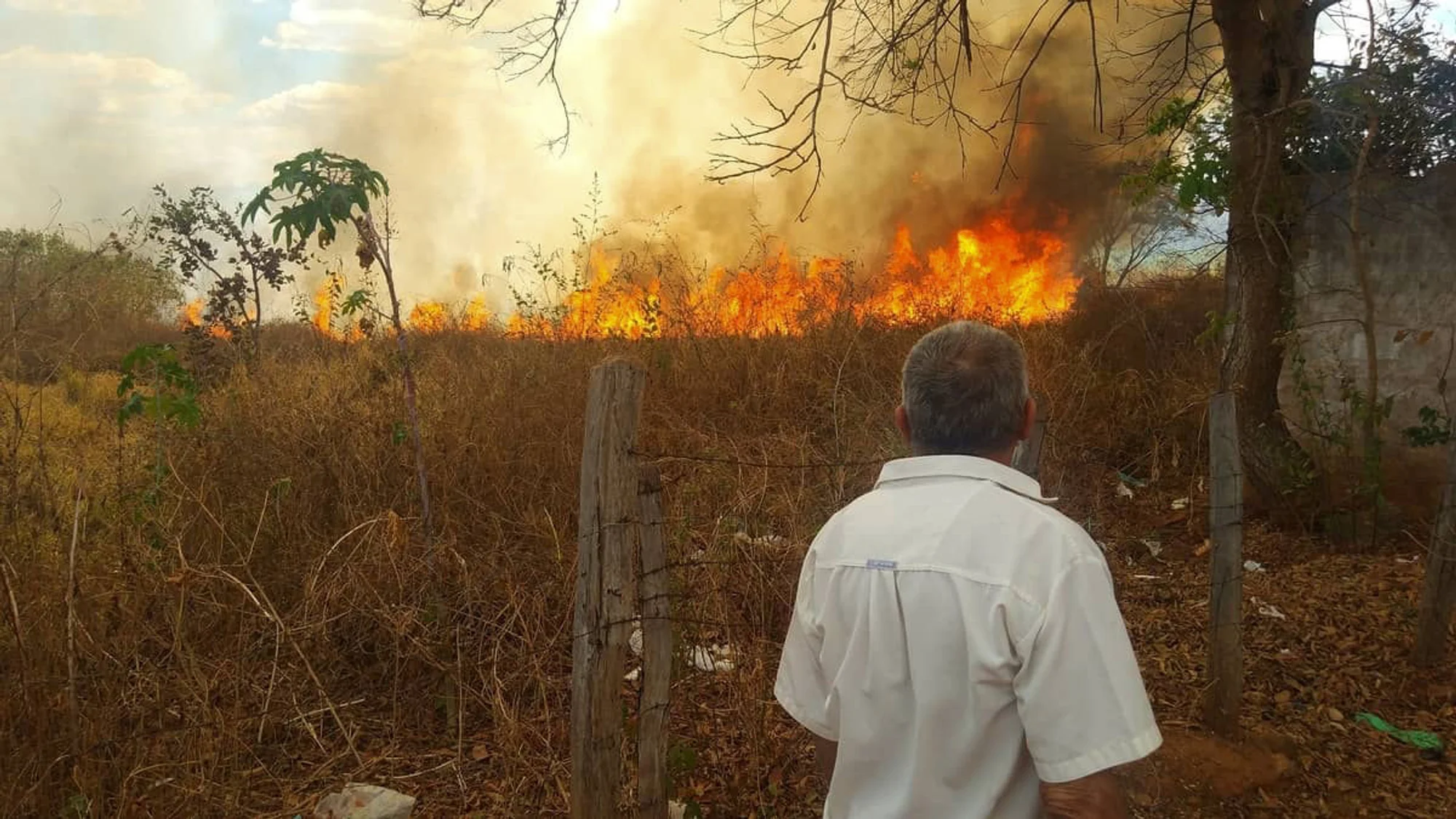 /image/fotos-antigas-lagoa-dos-patos-mg-em-memorias?src=https%3A%2F%2Fimg1.pixhost.to%2Fimages%2F11787%2F687199940_fogo-incendio-lagoa-dos-patos-mg-calor_2kzs9.jpg&w=2000&q=85