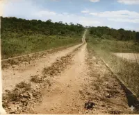 Imagem da galeria do artigo: Lagoa dos Patos em Memória: Fotos Antigas Resgatam a História da Cidade