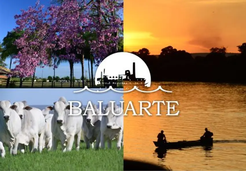 Capa de Leilão na Baluarte em Lagoa dos Patos MG - 2015