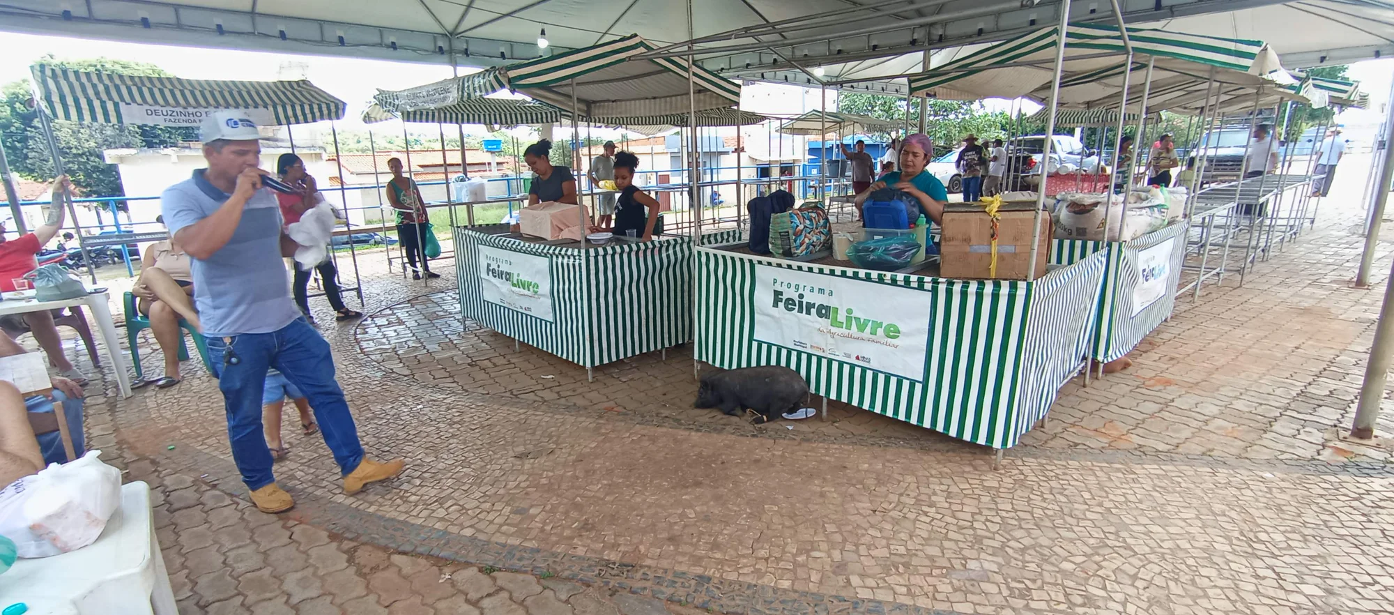 /image/o-triunfo-do-amor-leilao-beneficente-em-prol-de-sonia-nobre-e-um-sucesso-historico-em-lagoa-dos-patos?src=https%3A%2F%2Fimg2.pixhost.to%2Fimages%2F6955%2F711954505_leilao-beneficiente-sonia-nobre-21.jpg&w=2000&q=85