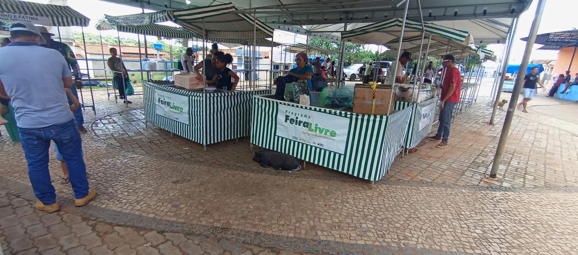 /image/o-triunfo-do-amor-leilao-beneficente-em-prol-de-sonia-nobre-e-um-sucesso-historico-em-lagoa-dos-patos?src=https%3A%2F%2Fimg2.pixhost.to%2Fimages%2F6955%2F711954508_leilao-beneficiente-sonia-nobre-23.jpg&w=2000&q=85