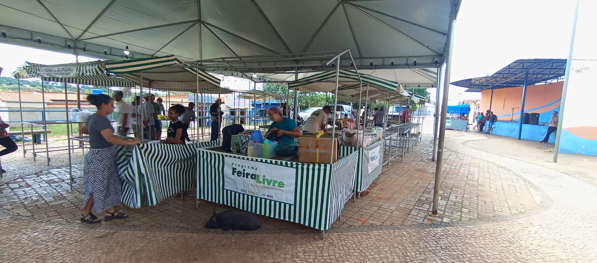 /image/o-triunfo-do-amor-leilao-beneficente-em-prol-de-sonia-nobre-e-um-sucesso-historico-em-lagoa-dos-patos?src=https%3A%2F%2Fimg2.pixhost.to%2Fimages%2F6955%2F711954509_leilao-beneficiente-sonia-nobre-24.jpg&w=2000&q=85