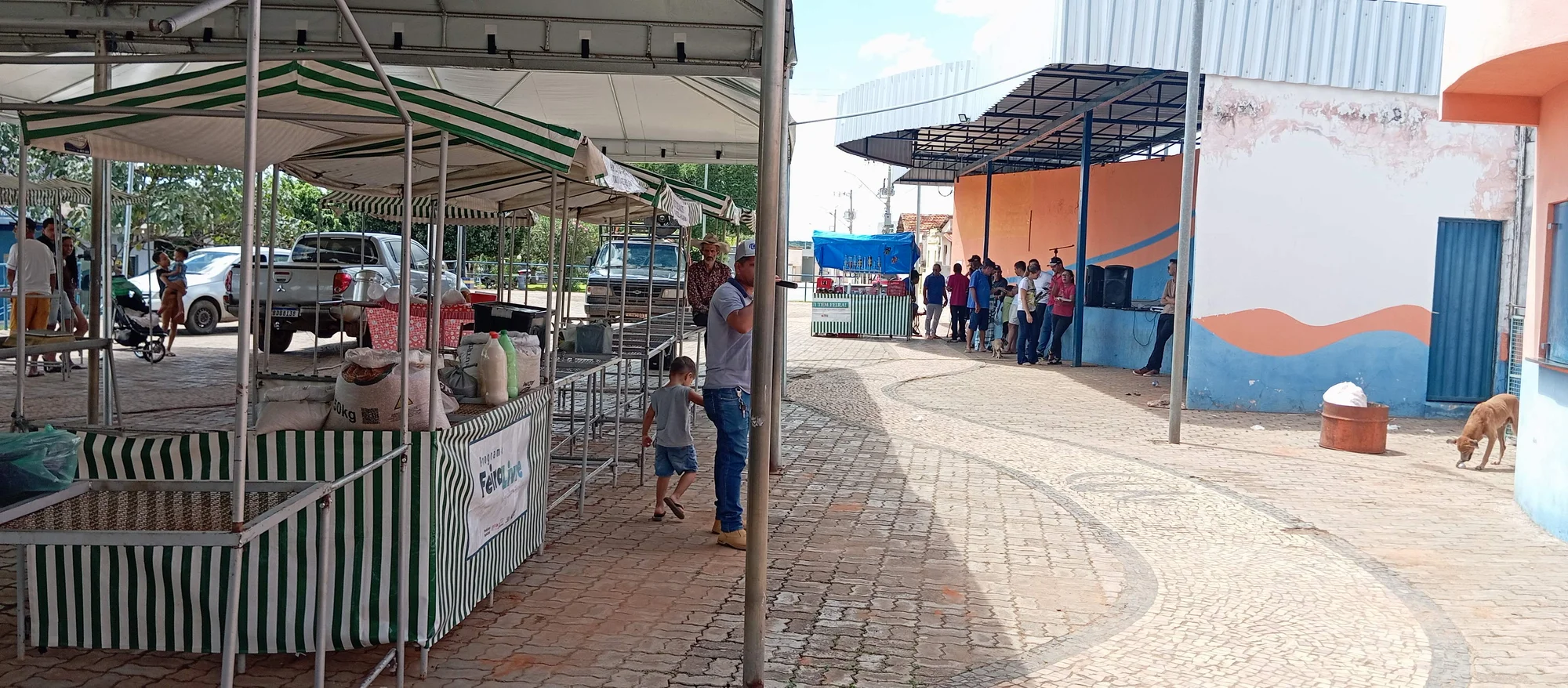 /image/o-triunfo-do-amor-leilao-beneficente-em-prol-de-sonia-nobre-e-um-sucesso-historico-em-lagoa-dos-patos?src=https%3A%2F%2Fimg2.pixhost.to%2Fimages%2F6955%2F711954511_leilao-beneficiente-sonia-nobre-25.jpg&w=2000&q=85