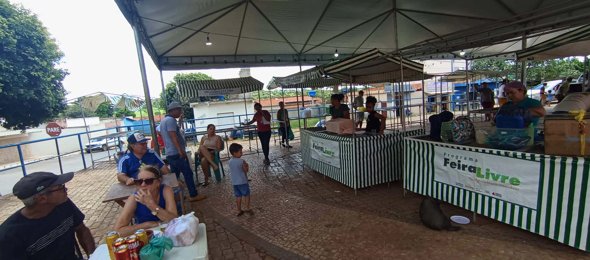 /image/o-triunfo-do-amor-leilao-beneficente-em-prol-de-sonia-nobre-e-um-sucesso-historico-em-lagoa-dos-patos?src=https%3A%2F%2Fimg2.pixhost.to%2Fimages%2F6955%2F711954525_leilao-beneficiente-sonia-nobre-31.jpg&w=2000&q=85