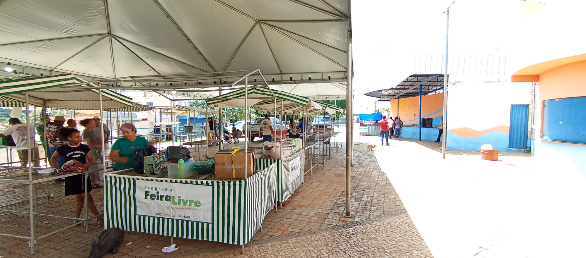 /image/o-triunfo-do-amor-leilao-beneficente-em-prol-de-sonia-nobre-e-um-sucesso-historico-em-lagoa-dos-patos?src=https%3A%2F%2Fimg2.pixhost.to%2Fimages%2F6955%2F711954529_leilao-beneficiente-sonia-nobre-33.jpg&w=2000&q=85