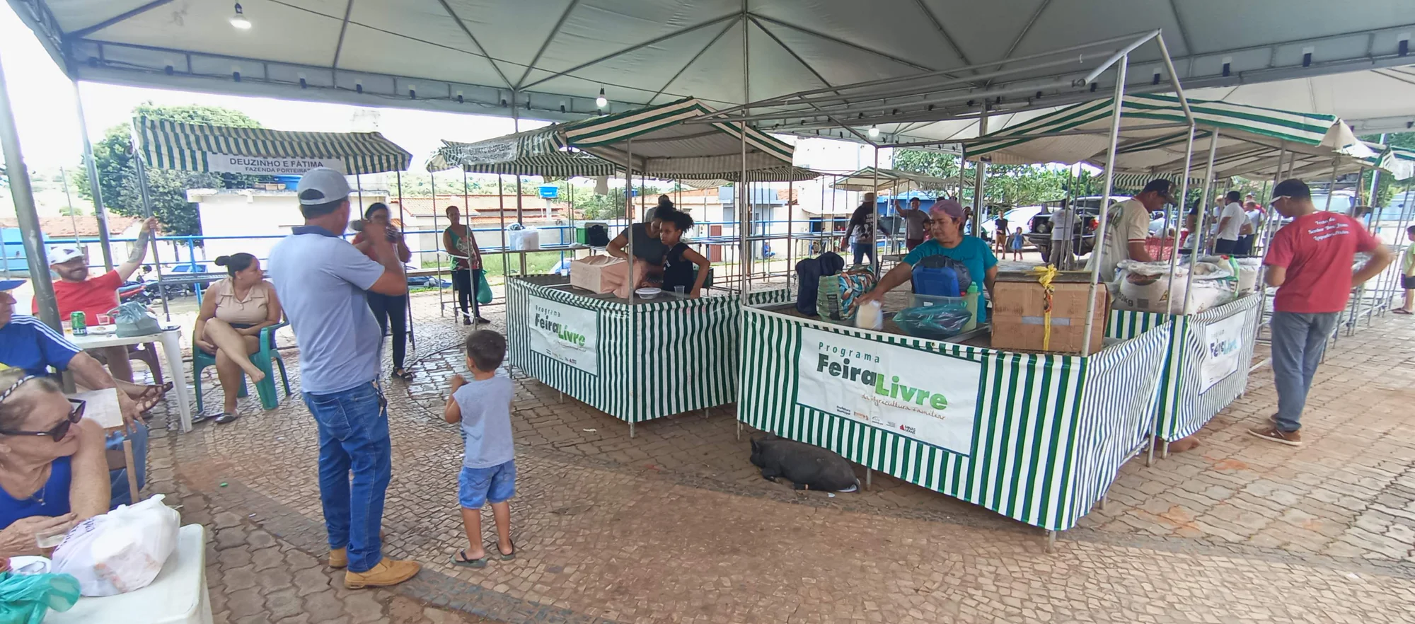 /image/o-triunfo-do-amor-leilao-beneficente-em-prol-de-sonia-nobre-e-um-sucesso-historico-em-lagoa-dos-patos?src=https%3A%2F%2Fimg2.pixhost.to%2Fimages%2F6955%2F711954533_leilao-beneficiente-sonia-nobre-36.jpg&w=2000&q=85