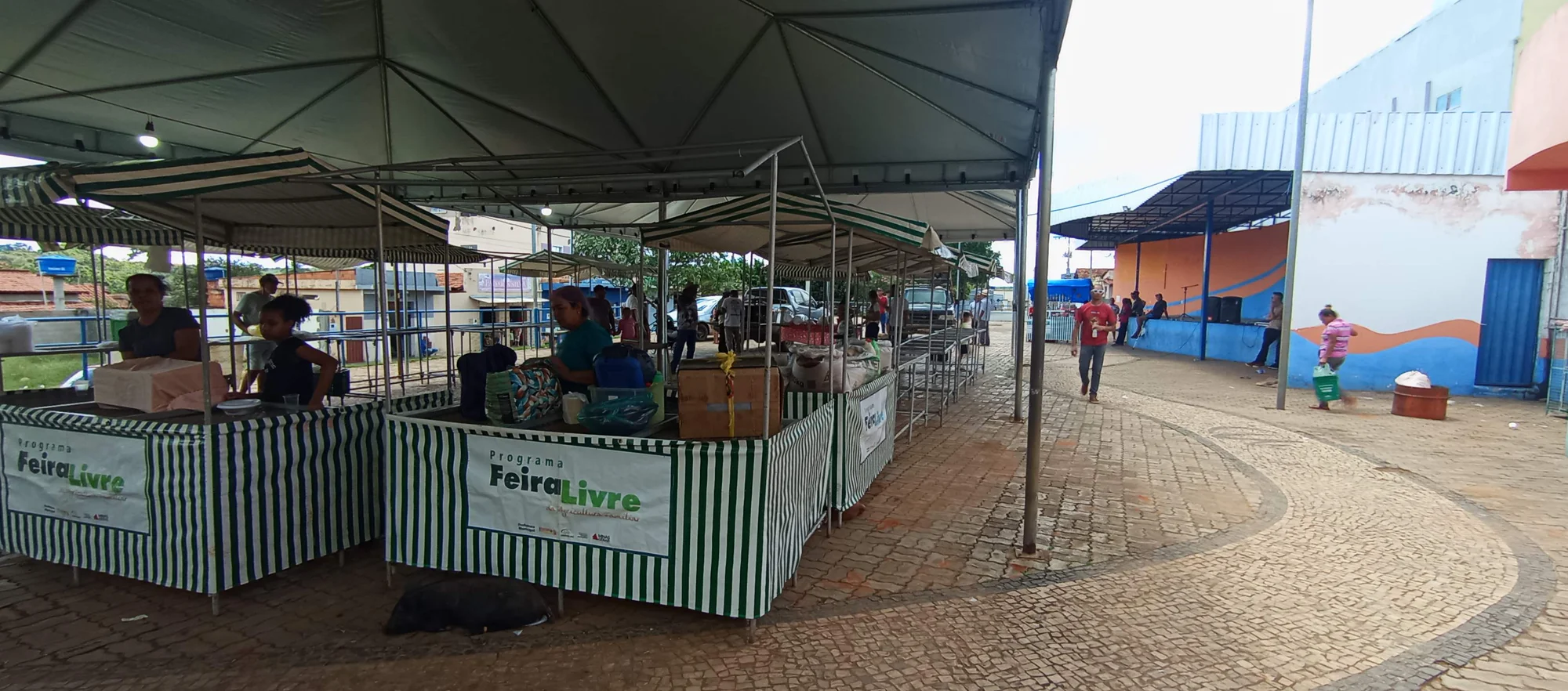 /image/o-triunfo-do-amor-leilao-beneficente-em-prol-de-sonia-nobre-e-um-sucesso-historico-em-lagoa-dos-patos?src=https%3A%2F%2Fimg2.pixhost.to%2Fimages%2F6955%2F711954536_leilao-beneficiente-sonia-nobre-37.jpg&w=2000&q=85