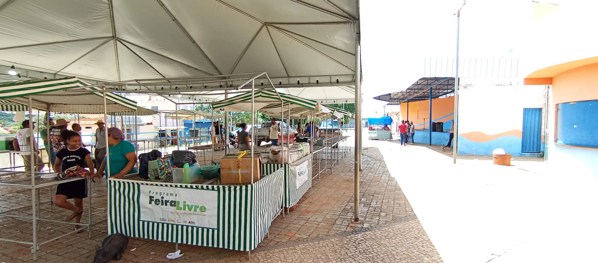 /image/o-triunfo-do-amor-leilao-beneficente-em-prol-de-sonia-nobre-e-um-sucesso-historico-em-lagoa-dos-patos?src=https%3A%2F%2Fimg2.pixhost.to%2Fimages%2F6955%2F711954546_leilao-beneficiente-sonia-nobre-41.jpg&w=2000&q=85