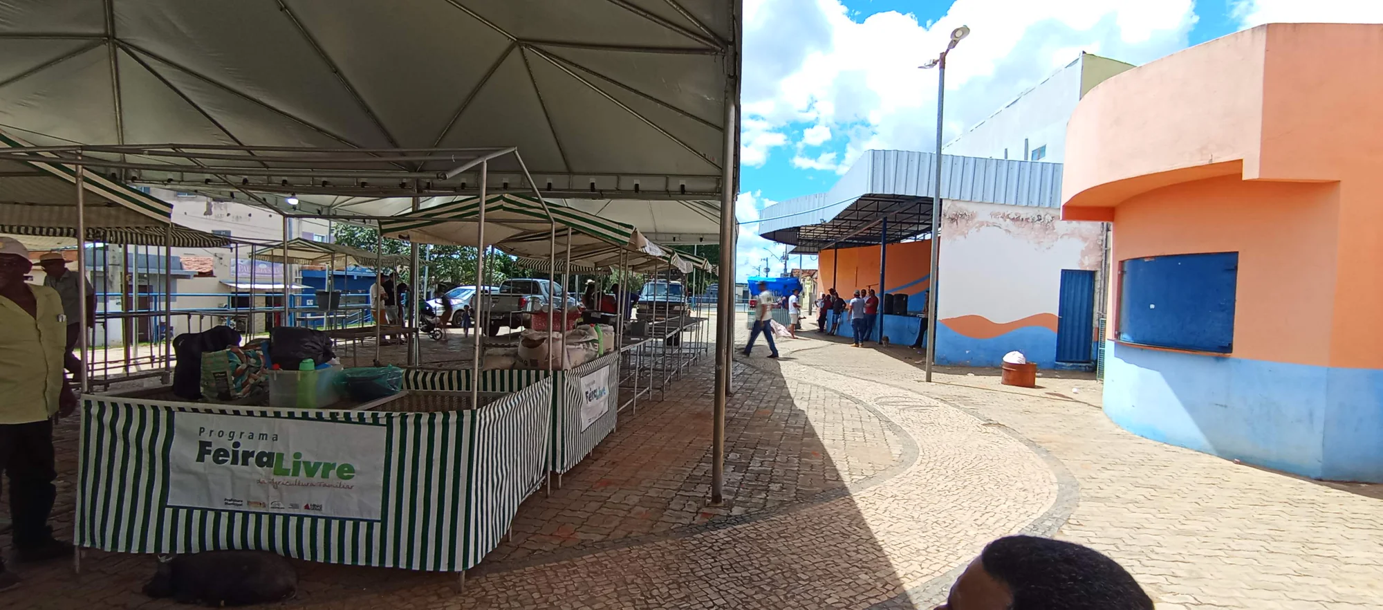 /image/o-triunfo-do-amor-leilao-beneficente-em-prol-de-sonia-nobre-e-um-sucesso-historico-em-lagoa-dos-patos?src=https%3A%2F%2Fimg2.pixhost.to%2Fimages%2F6955%2F711954548_leilao-beneficiente-sonia-nobre-42.jpg&w=2000&q=85