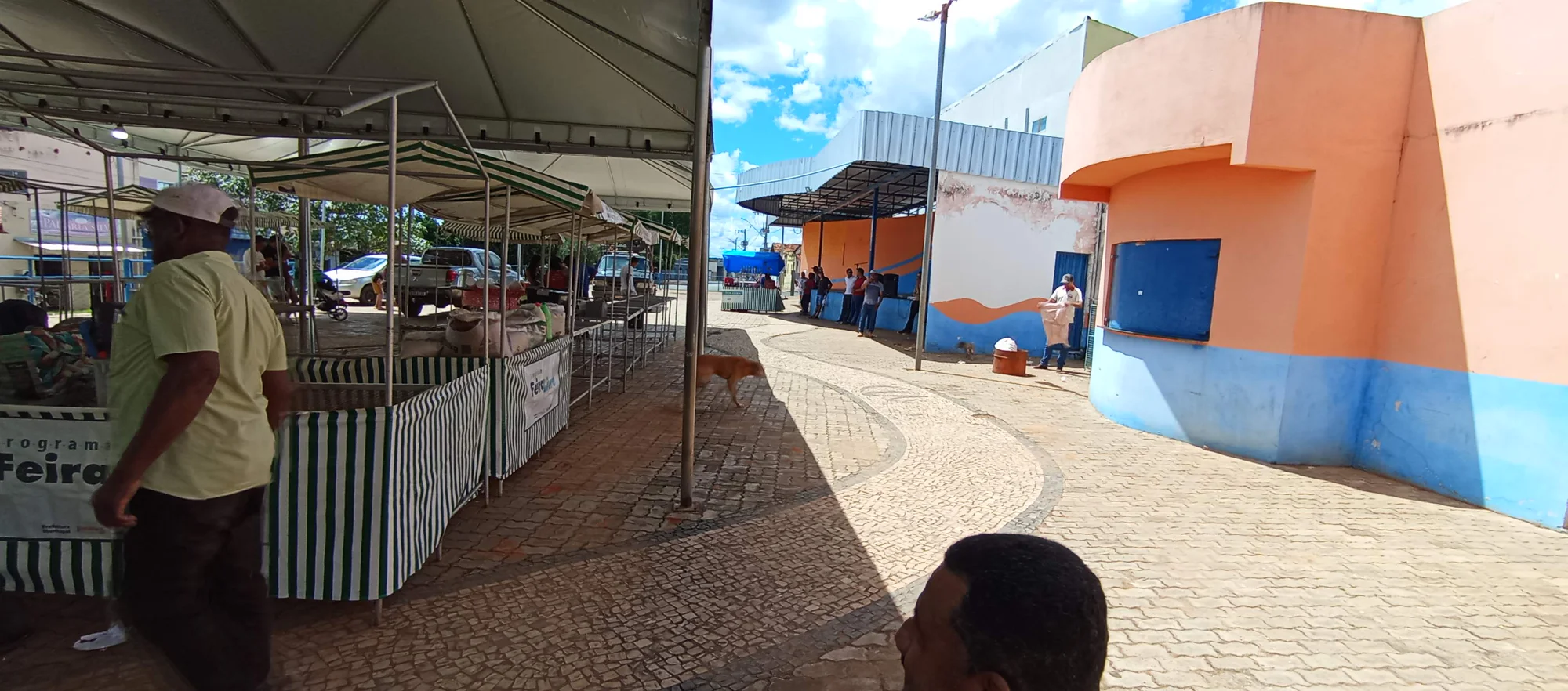 /image/o-triunfo-do-amor-leilao-beneficente-em-prol-de-sonia-nobre-e-um-sucesso-historico-em-lagoa-dos-patos?src=https%3A%2F%2Fimg2.pixhost.to%2Fimages%2F6955%2F711954557_leilao-beneficiente-sonia-nobre-2.jpg&w=2000&q=85