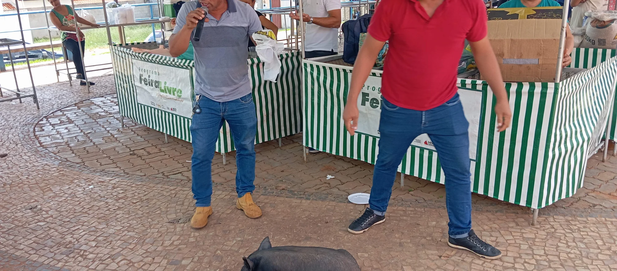 /image/o-triunfo-do-amor-leilao-beneficente-em-prol-de-sonia-nobre-e-um-sucesso-historico-em-lagoa-dos-patos?src=https%3A%2F%2Fimg2.pixhost.to%2Fimages%2F6955%2F711954562_leilao-beneficiente-sonia-nobre-44.jpg&w=2000&q=85