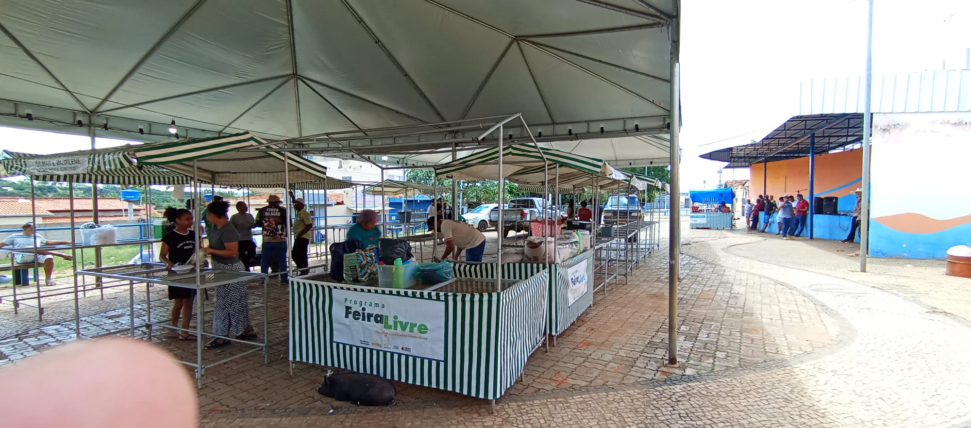 /image/o-triunfo-do-amor-leilao-beneficente-em-prol-de-sonia-nobre-e-um-sucesso-historico-em-lagoa-dos-patos?src=https%3A%2F%2Fimg2.pixhost.to%2Fimages%2F6955%2F711954571_leilao-beneficiente-sonia-nobre-8.jpg&w=2000&q=85