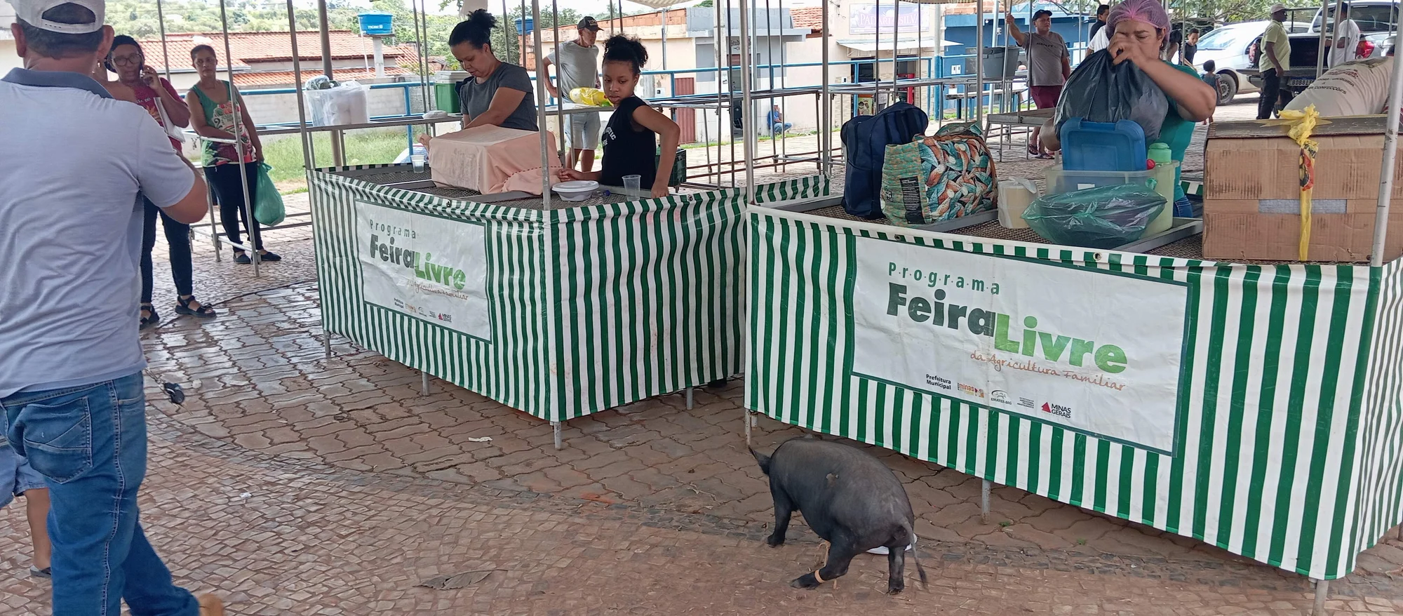 /image/o-triunfo-do-amor-leilao-beneficente-em-prol-de-sonia-nobre-e-um-sucesso-historico-em-lagoa-dos-patos?src=https%3A%2F%2Fimg2.pixhost.to%2Fimages%2F6955%2F711954576_leilao-beneficiente-sonia-nobre-10.jpg&w=2000&q=85