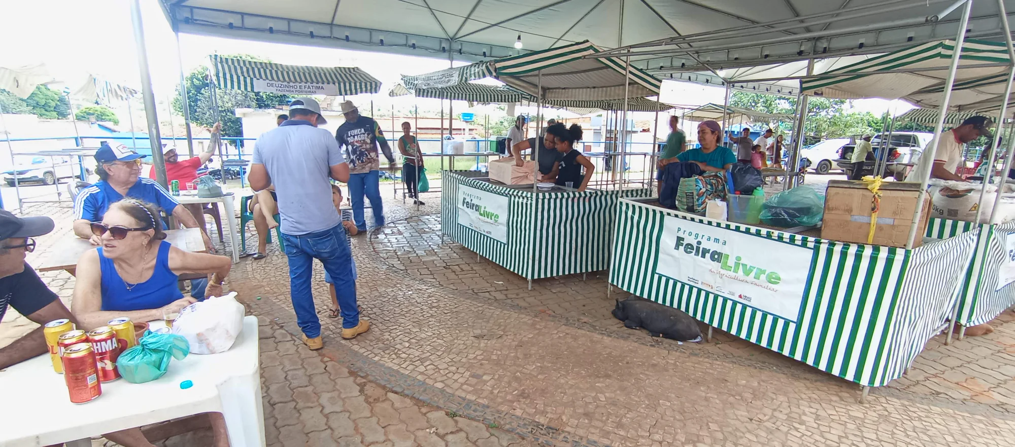 /image/o-triunfo-do-amor-leilao-beneficente-em-prol-de-sonia-nobre-e-um-sucesso-historico-em-lagoa-dos-patos?src=https%3A%2F%2Fimg2.pixhost.to%2Fimages%2F6955%2F711954579_leilao-beneficiente-sonia-nobre-11.jpg&w=2000&q=85