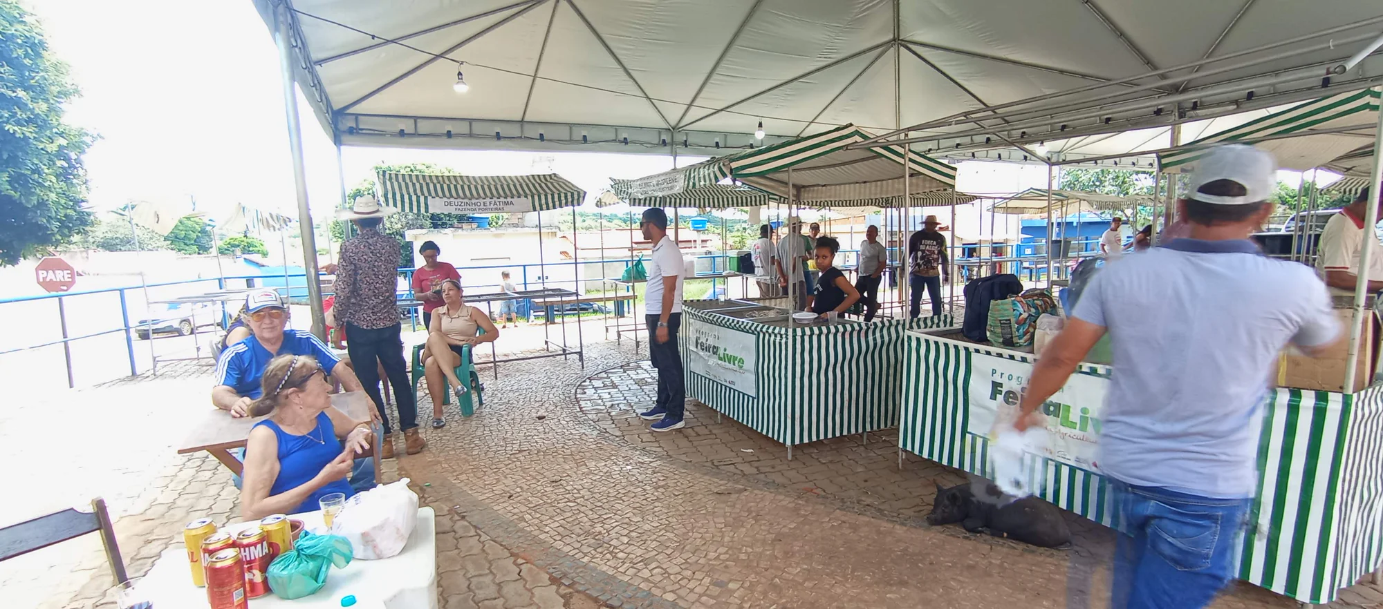 /image/o-triunfo-do-amor-leilao-beneficente-em-prol-de-sonia-nobre-e-um-sucesso-historico-em-lagoa-dos-patos?src=https%3A%2F%2Fimg2.pixhost.to%2Fimages%2F6955%2F711954580_leilao-beneficiente-sonia-nobre-12.jpg&w=2000&q=85