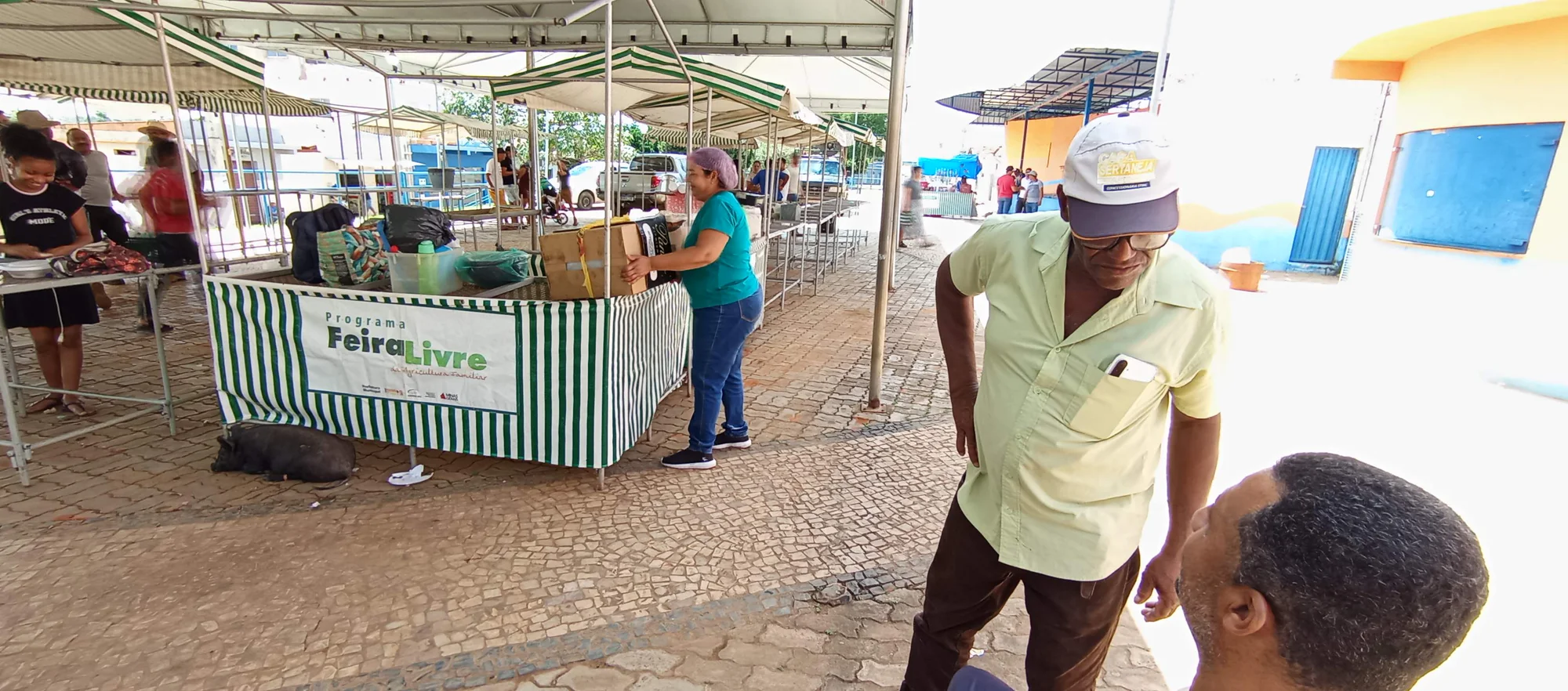 /image/o-triunfo-do-amor-leilao-beneficente-em-prol-de-sonia-nobre-e-um-sucesso-historico-em-lagoa-dos-patos?src=https%3A%2F%2Fimg2.pixhost.to%2Fimages%2F6955%2F711954584_leilao-beneficiente-sonia-nobre-15.jpg&w=2000&q=85