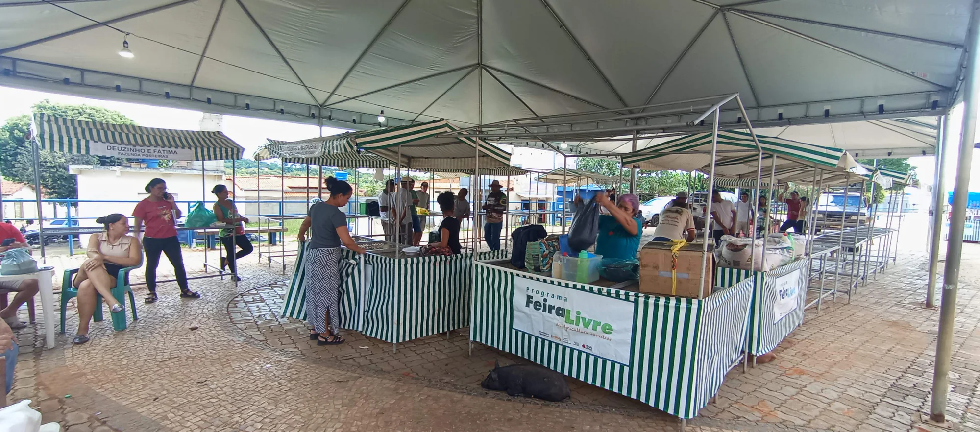 /image/o-triunfo-do-amor-leilao-beneficente-em-prol-de-sonia-nobre-e-um-sucesso-historico-em-lagoa-dos-patos?src=https%3A%2F%2Fimg2.pixhost.to%2Fimages%2F6955%2F711954588_leilao-beneficiente-sonia-nobre-17.jpg&w=2000&q=85