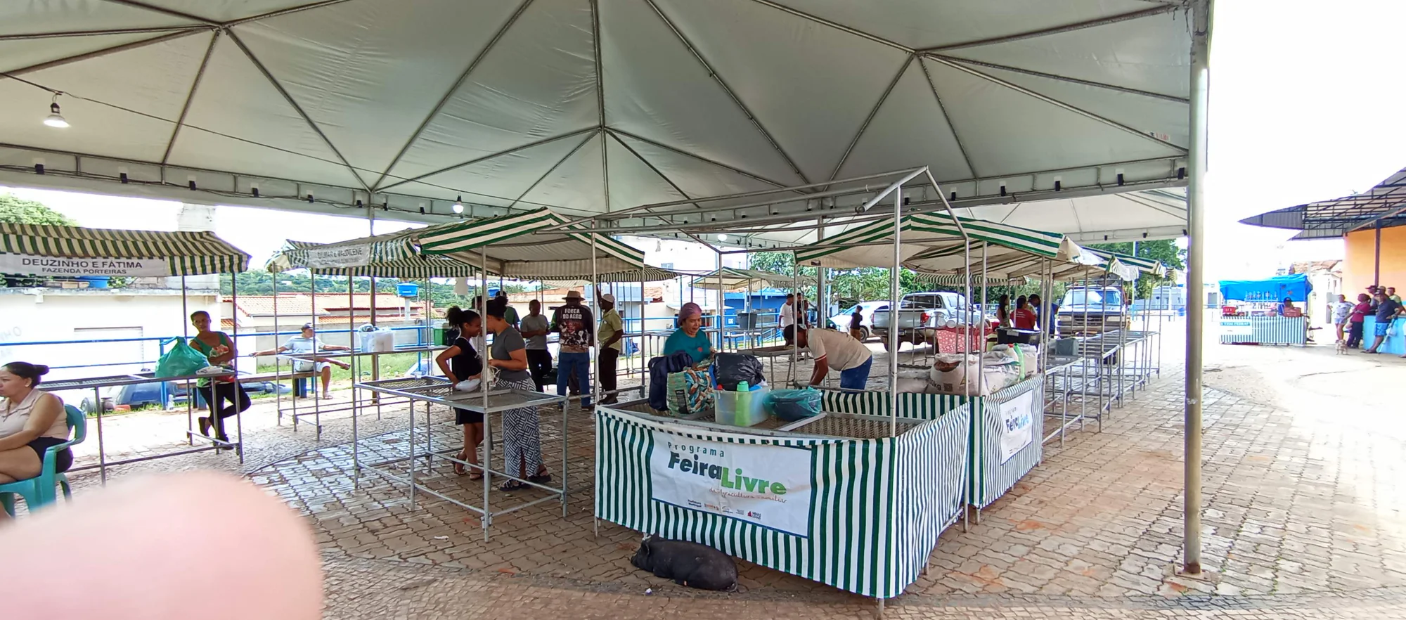 /image/o-triunfo-do-amor-leilao-beneficente-em-prol-de-sonia-nobre-e-um-sucesso-historico-em-lagoa-dos-patos?src=https%3A%2F%2Fimg2.pixhost.to%2Fimages%2F6955%2F711954590_leilao-beneficiente-sonia-nobre-18.jpg&w=2000&q=85