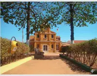 Imagem da galeria do artigo: Praça da Matriz: Um Patrimônio Histórico e Cultural de Lagoa dos Patos-MG