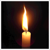 ZÉ IVO Foto em Homenagem