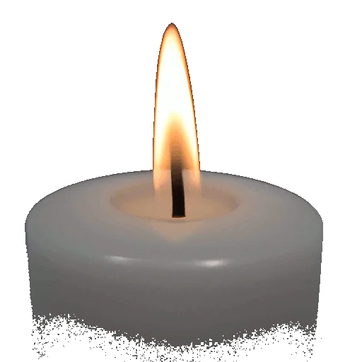 NINA DA CAIÇARA Foto em Homenagem